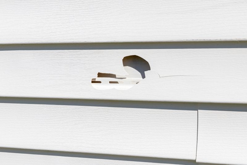 Experienced Vinyl Siding Repair